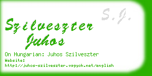szilveszter juhos business card